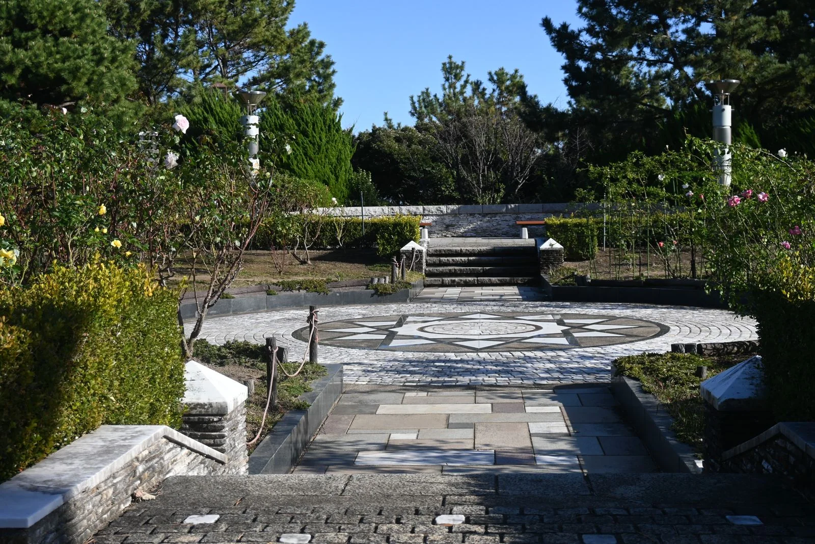 Geometric stone garden pathway surrounded by established planting